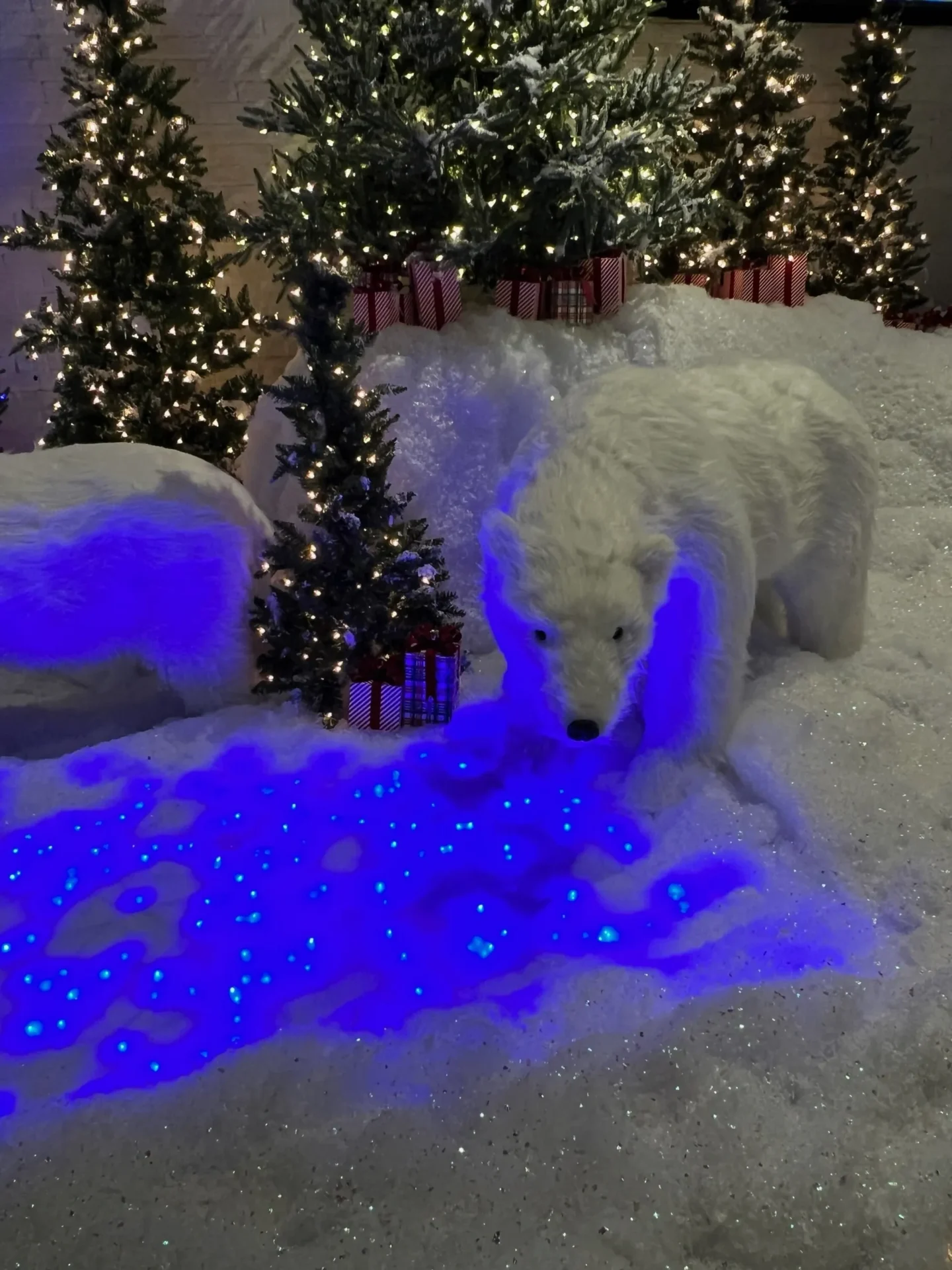 A polar bear is standing in the snow.